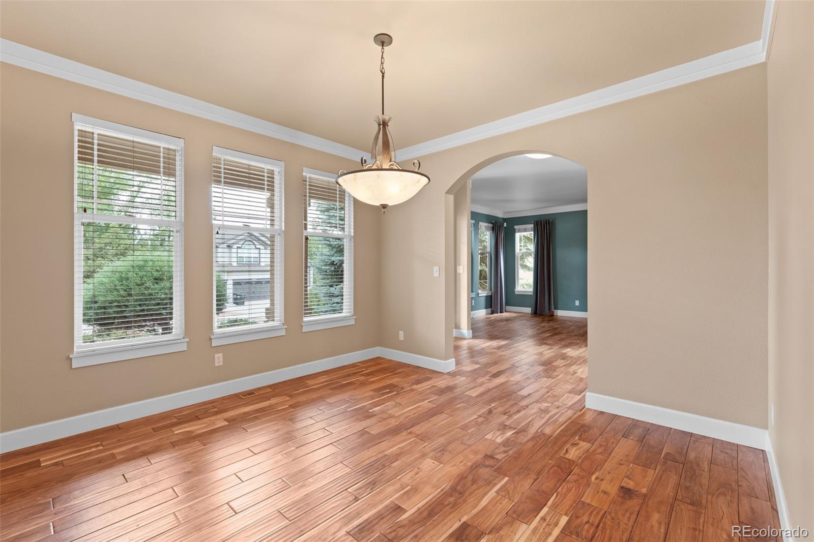 MLS Image #19 for 1645  colgate drive,colorado springs, Colorado