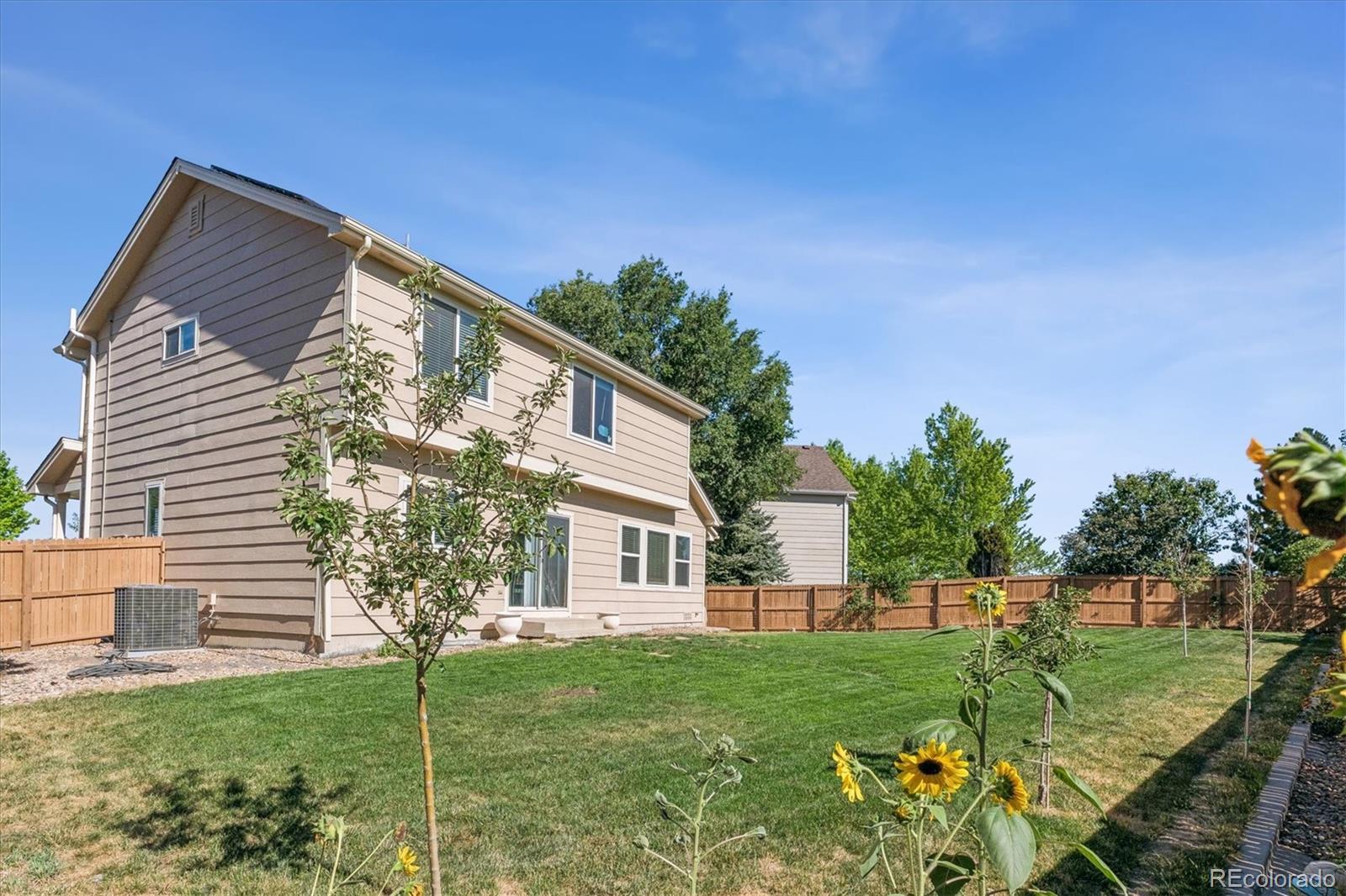 MLS Image #24 for 409  lockwood street,castle rock, Colorado