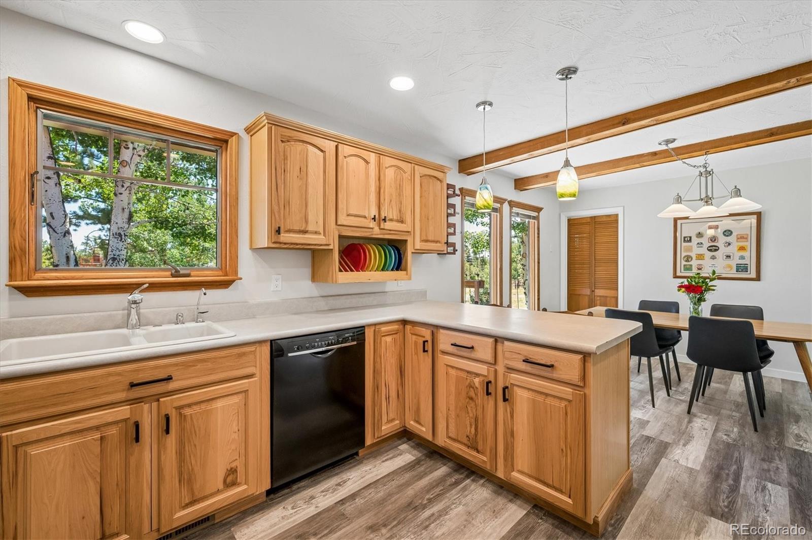 MLS Image #10 for 13258 s mohawk street,pine, Colorado