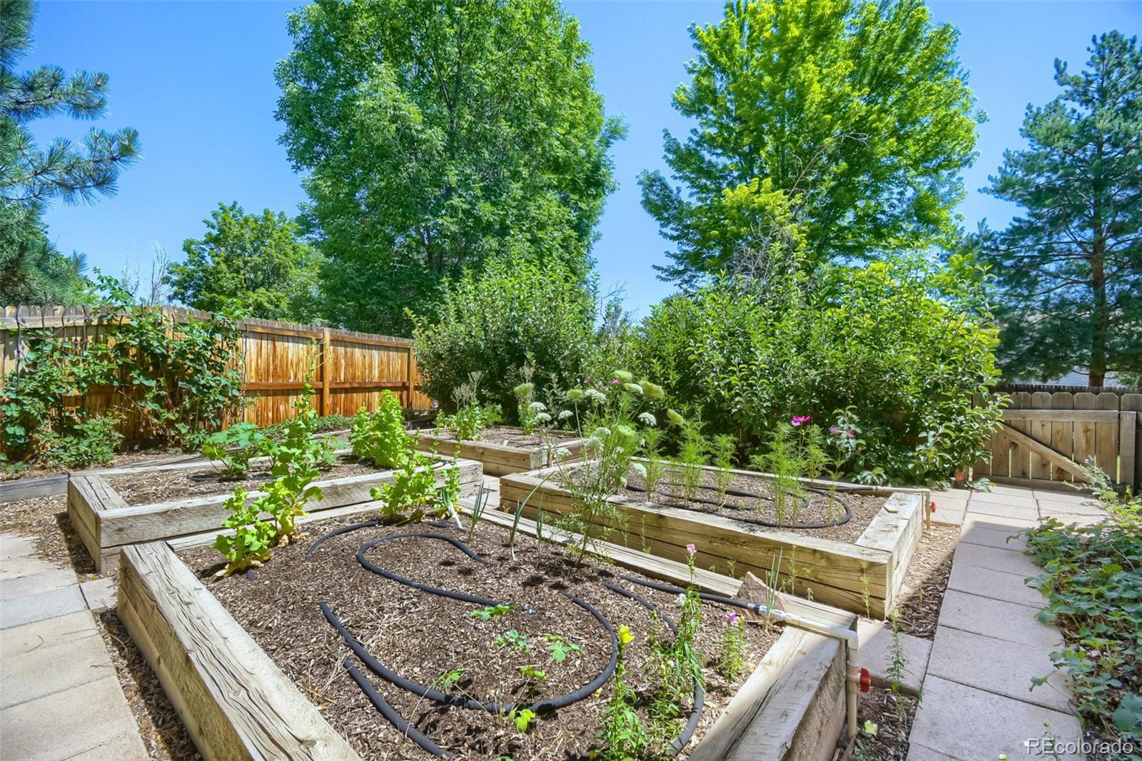 MLS Image #24 for 12354  utica court,broomfield, Colorado
