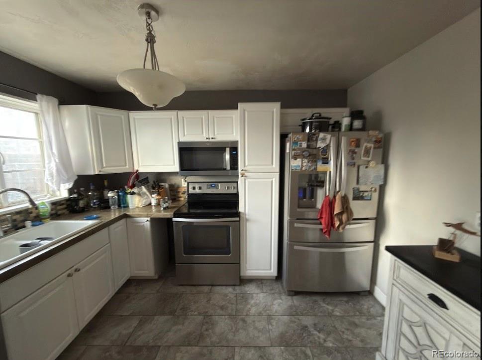 MLS Image #2 for 309  mount columbia drive,leadville, Colorado