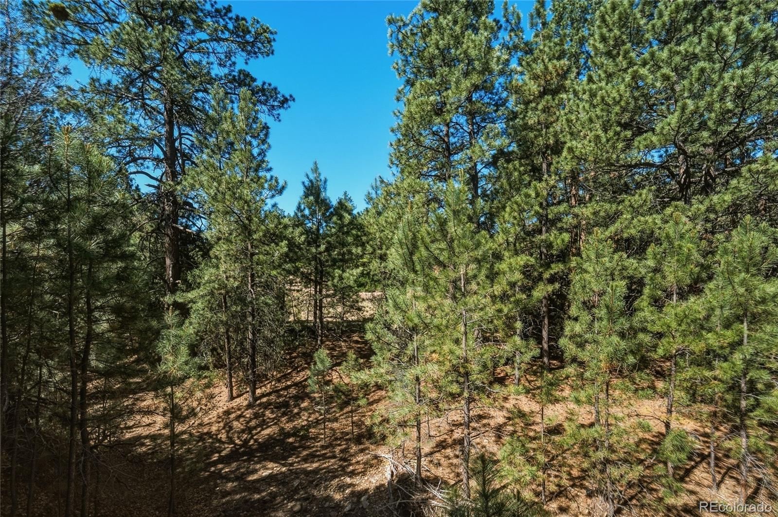 MLS Image #24 for 93  blackhawk ranch ,walsenburg, Colorado