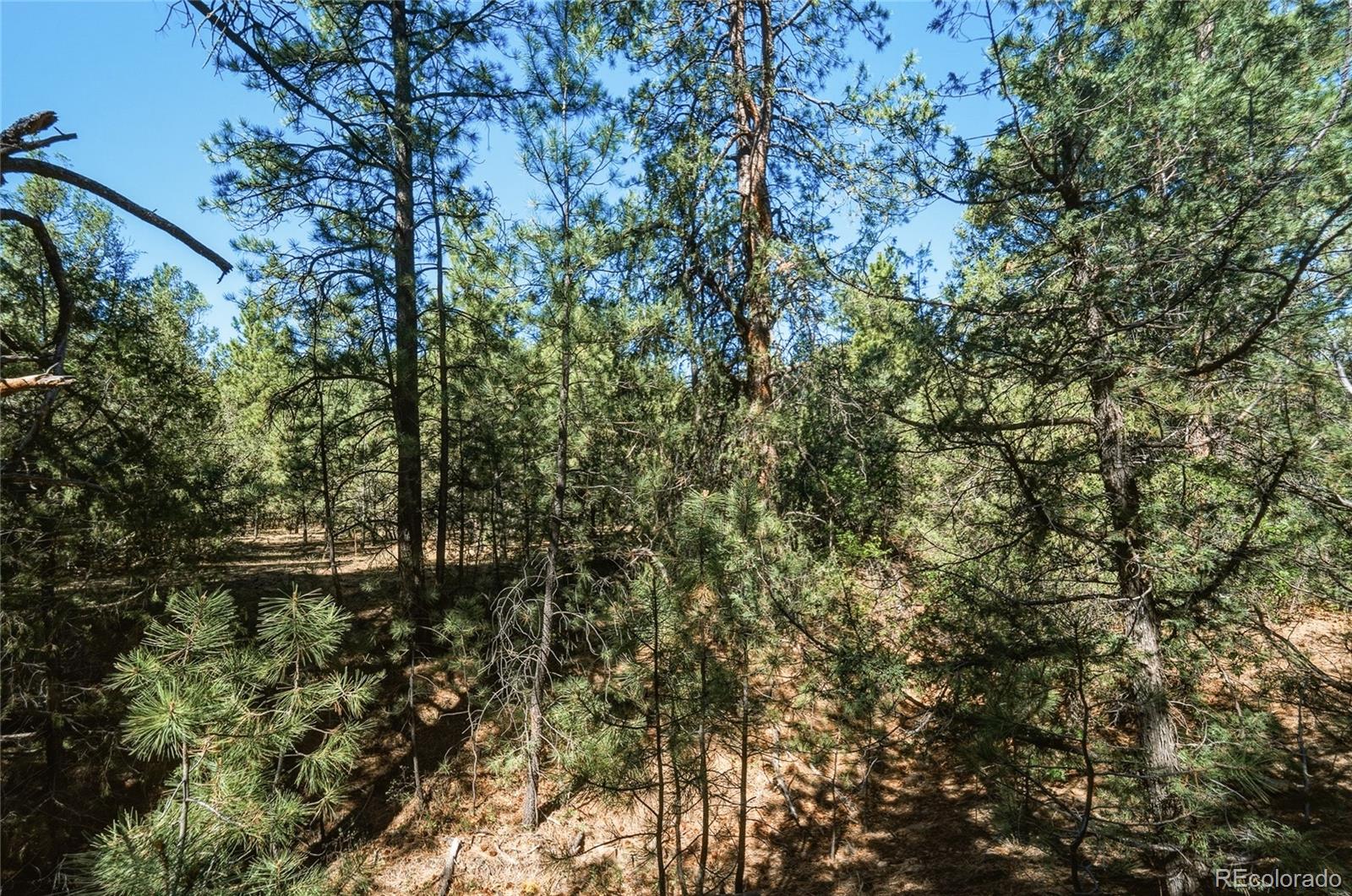 MLS Image #25 for 93  blackhawk ranch ,walsenburg, Colorado