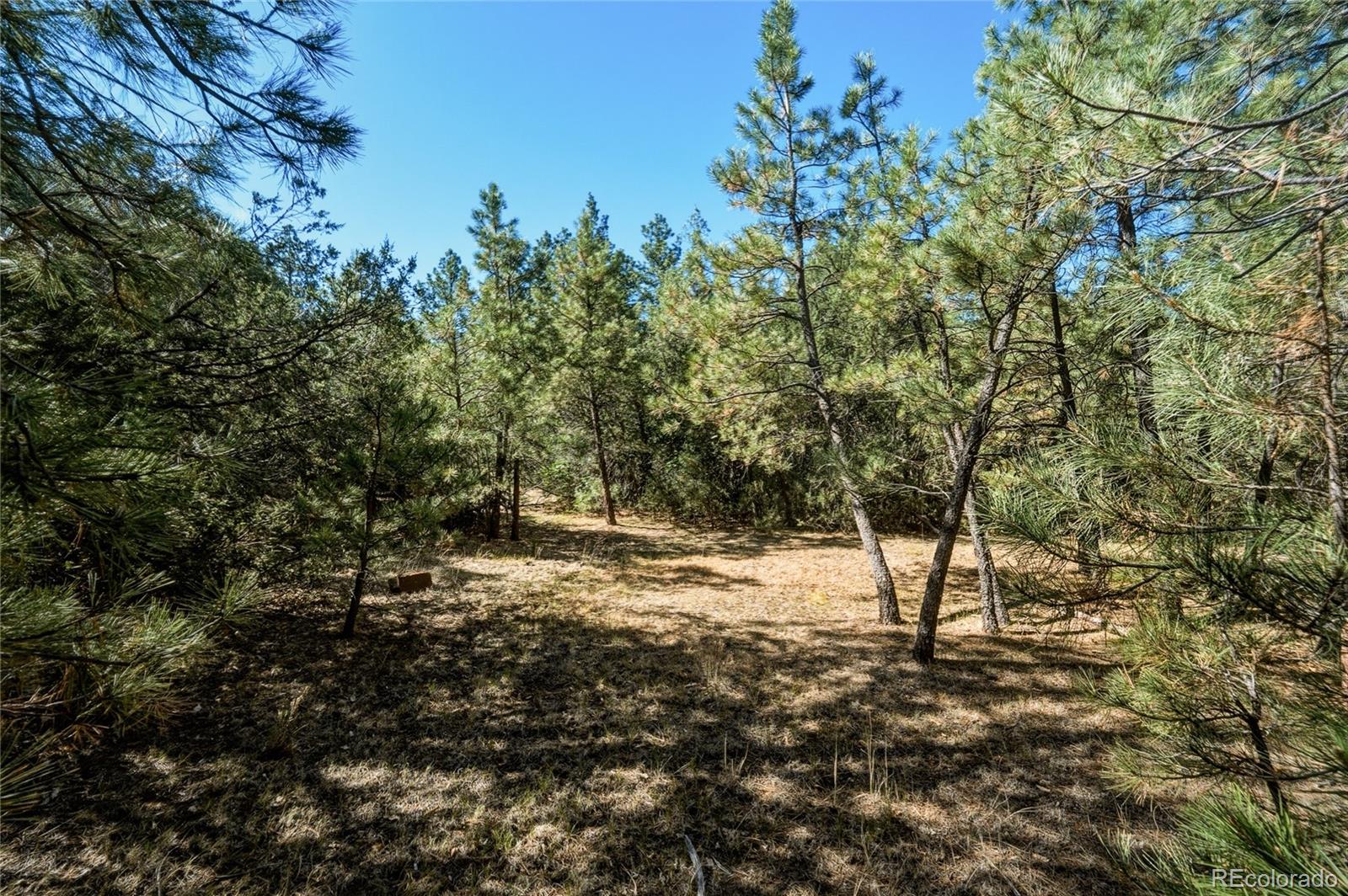 MLS Image #26 for 93  blackhawk ranch ,walsenburg, Colorado