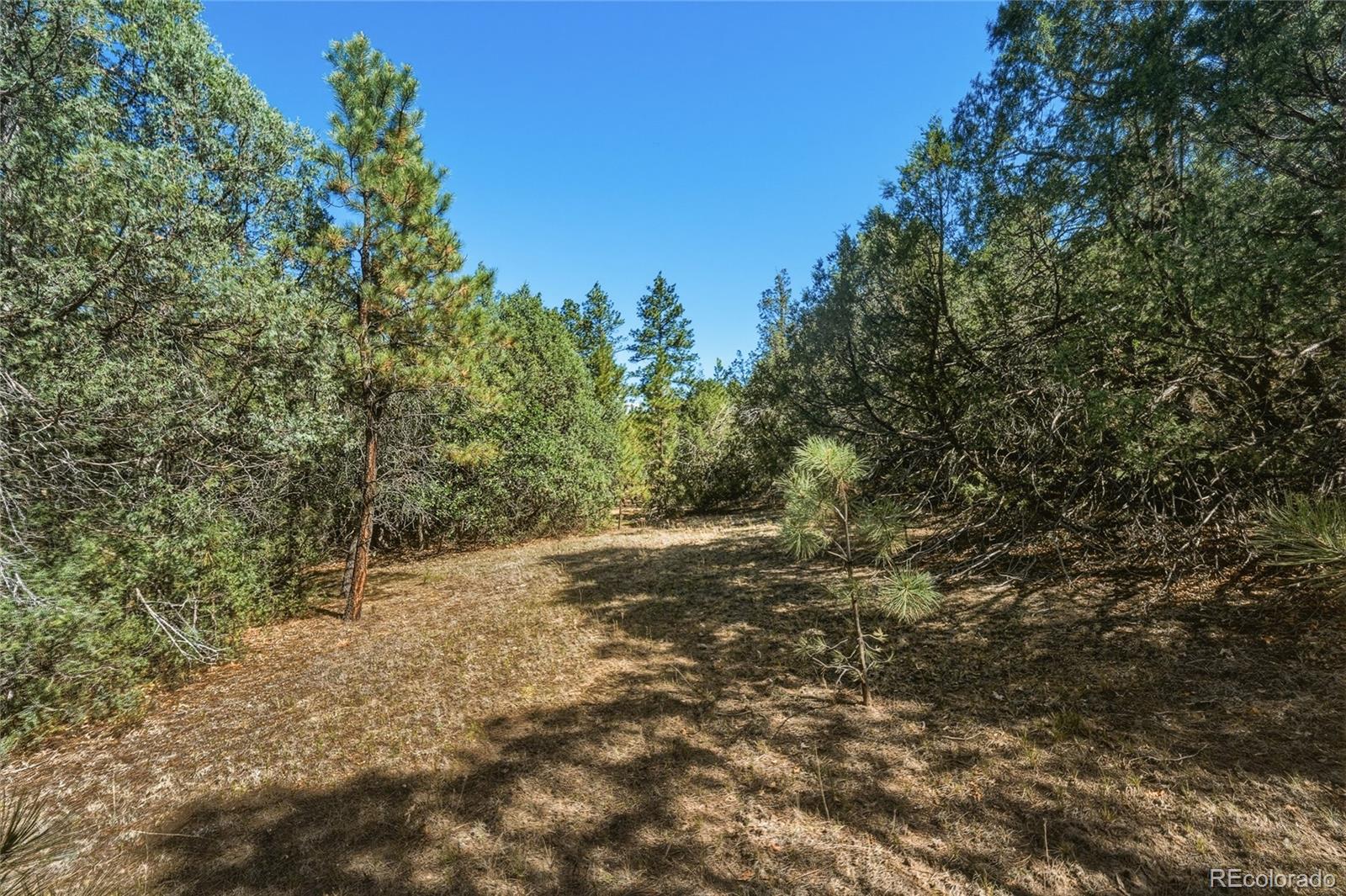 MLS Image #27 for 93  blackhawk ranch ,walsenburg, Colorado