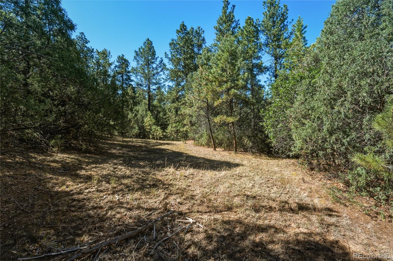 MLS Image #28 for 93  blackhawk ranch ,walsenburg, Colorado