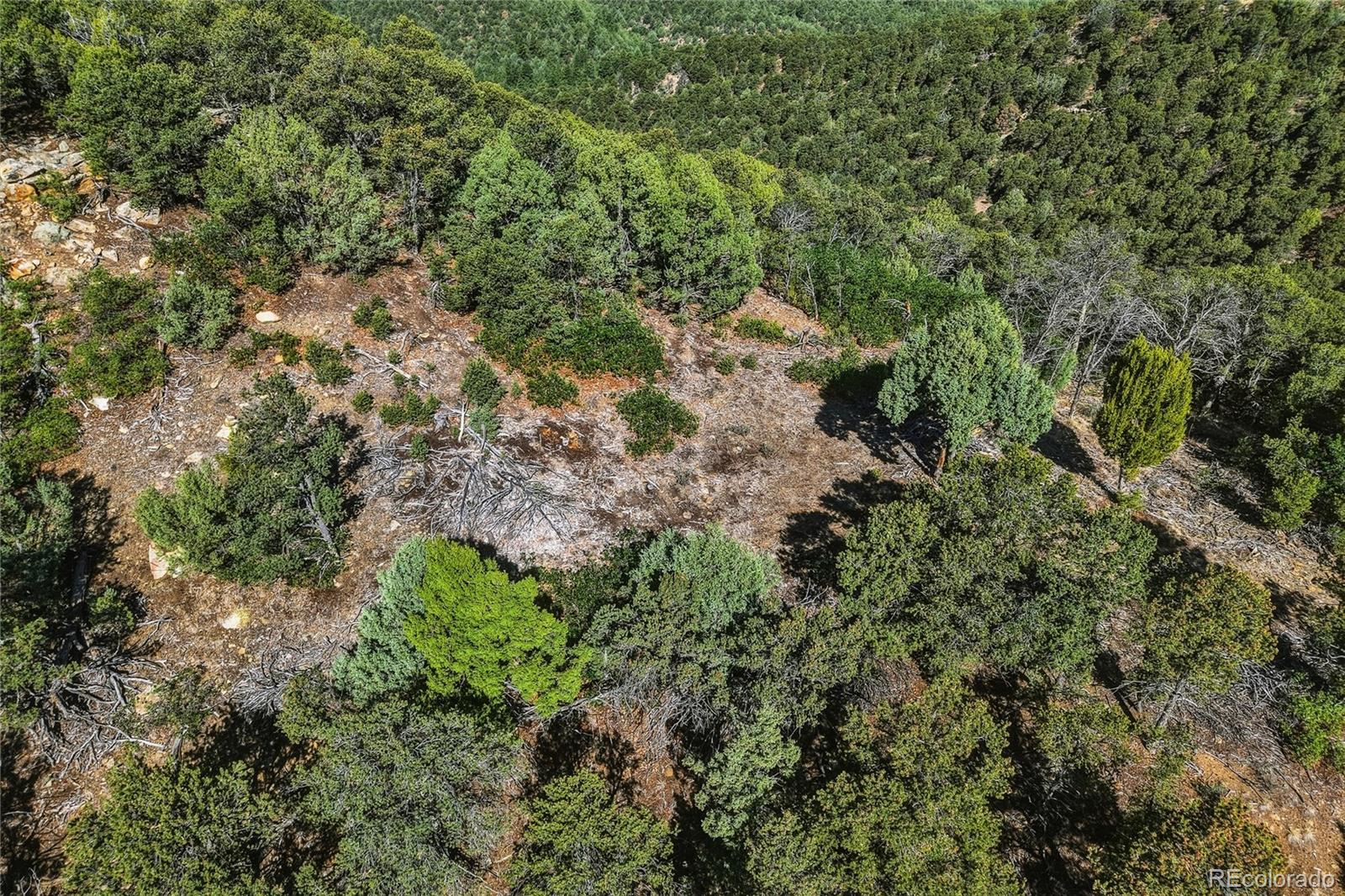 MLS Image #40 for 93  blackhawk ranch ,walsenburg, Colorado