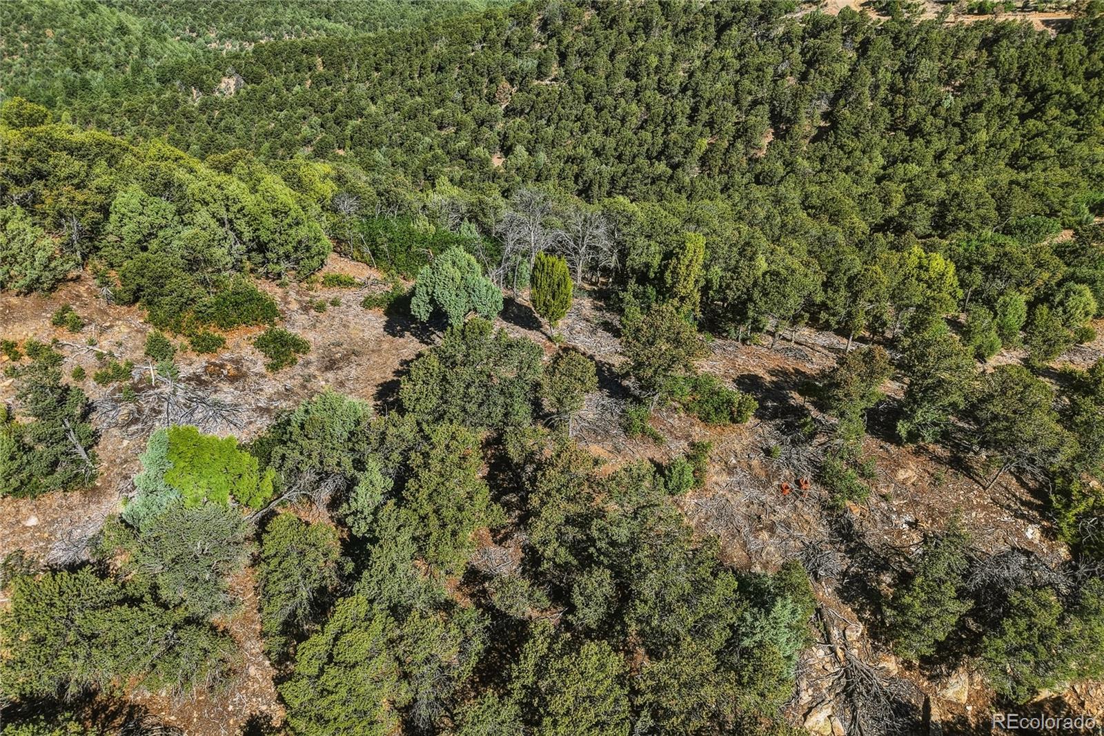 MLS Image #41 for 93  blackhawk ranch ,walsenburg, Colorado