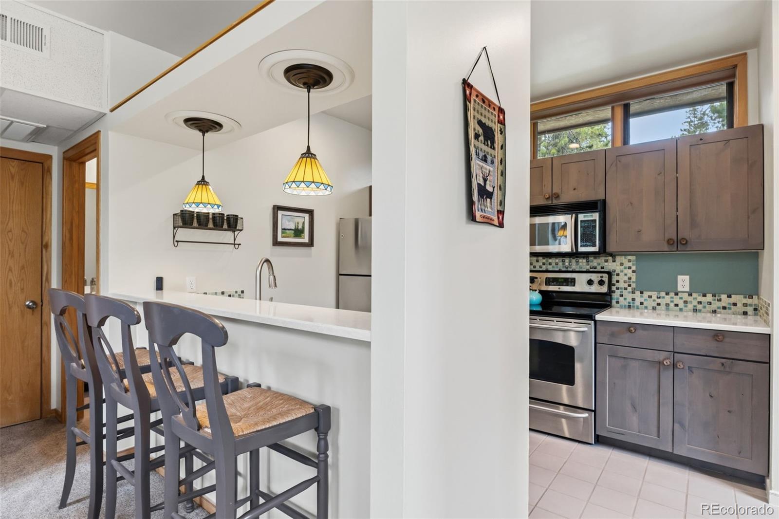 MLS Image #10 for 2027  soda ridge road,dillon, Colorado
