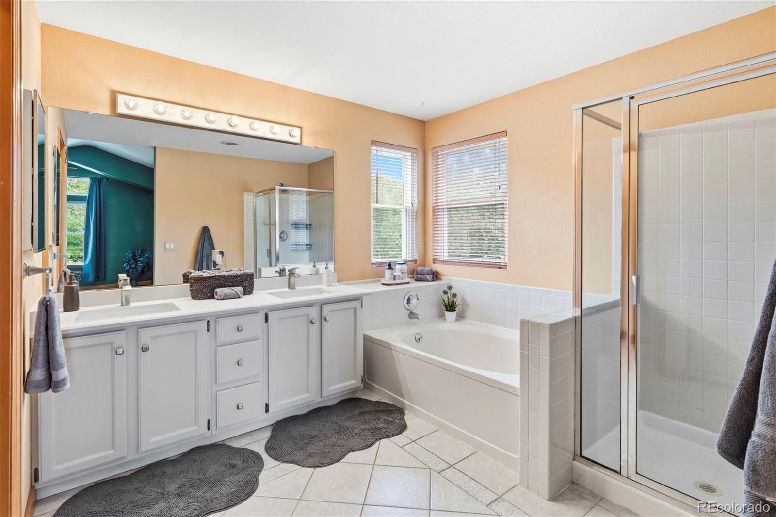 MLS Image #21 for 20182  aintree place,parker, Colorado