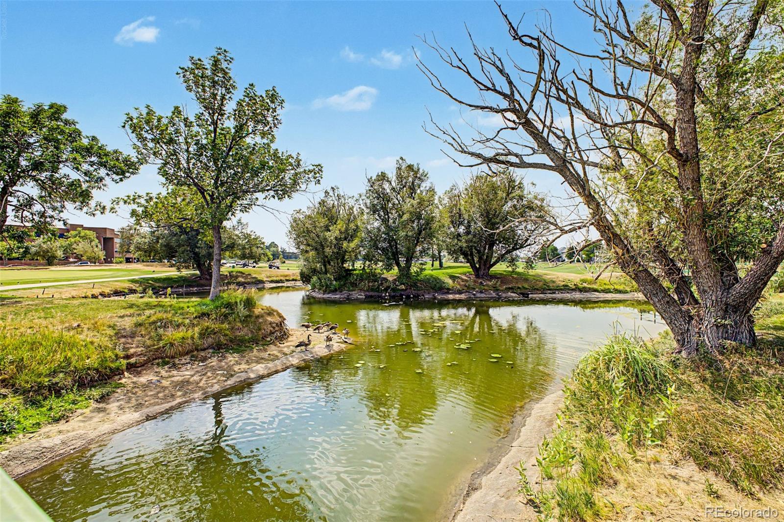MLS Image #30 for 1955 s xanadu way,aurora, Colorado