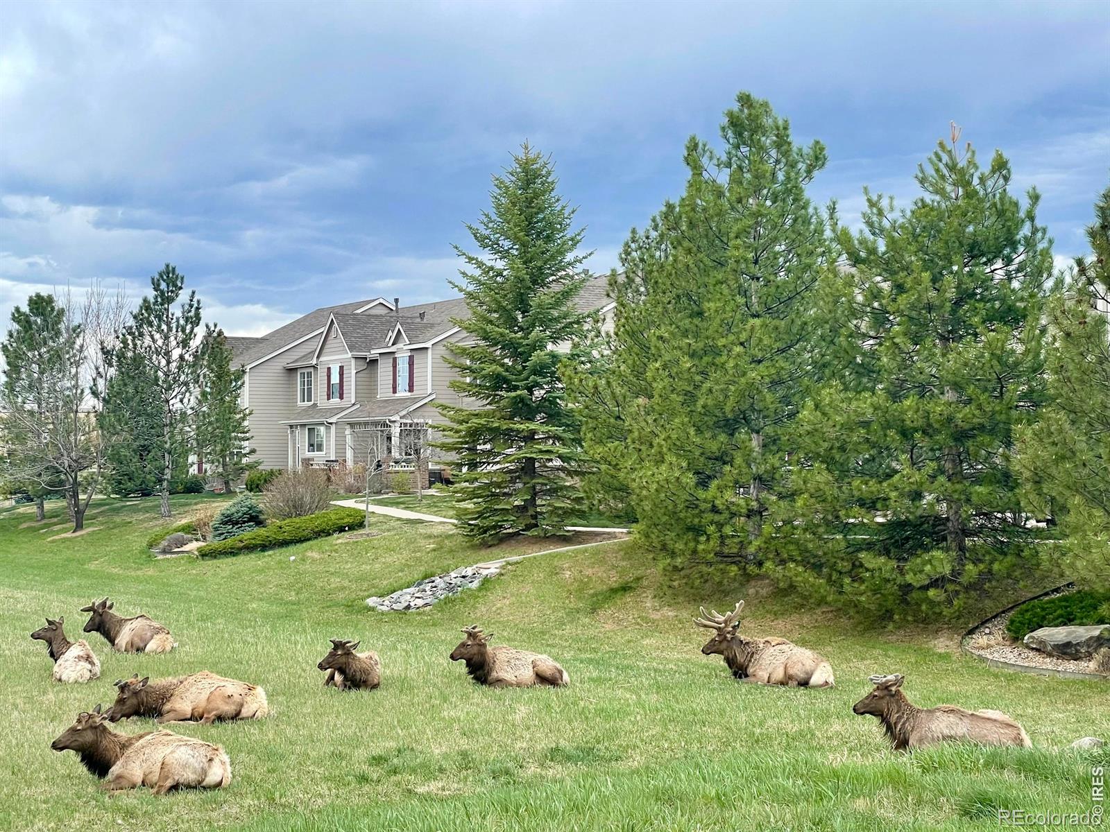 MLS Image #18 for 2940  champion circle,loveland, Colorado