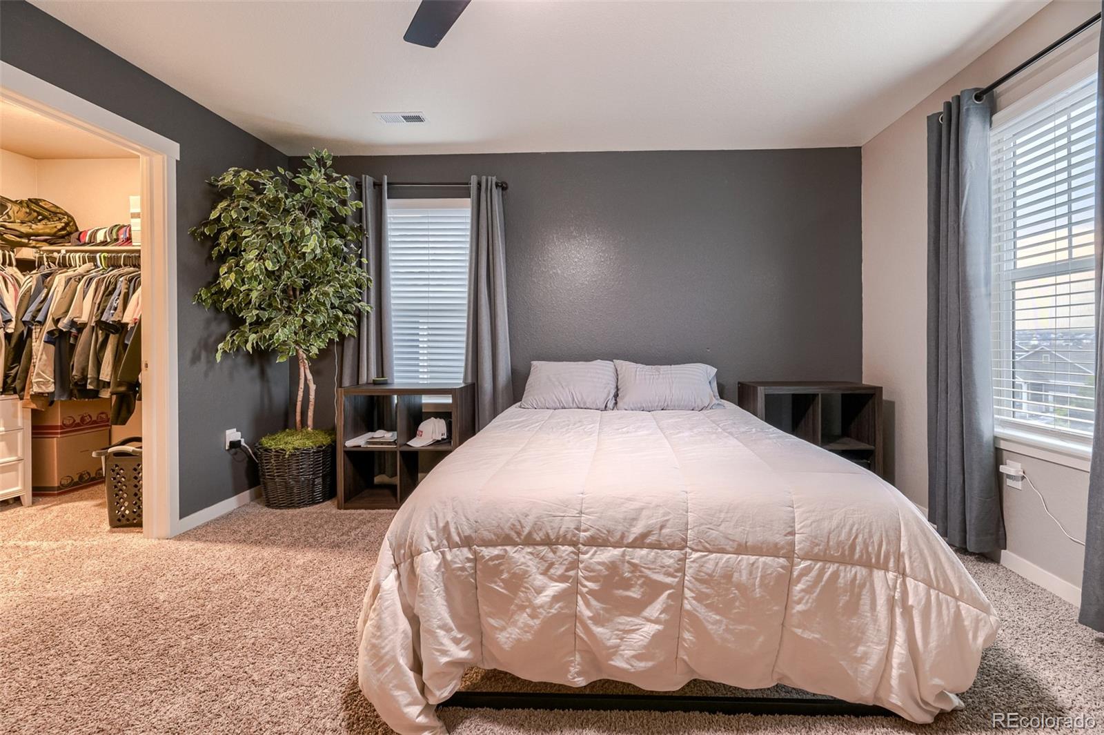 MLS Image #19 for 17414  trefoil lane,parker, Colorado