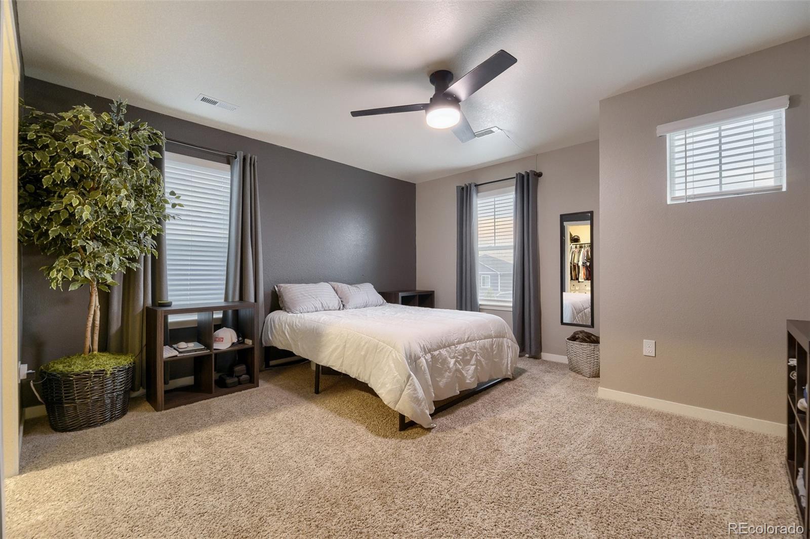 MLS Image #20 for 17414  trefoil lane,parker, Colorado