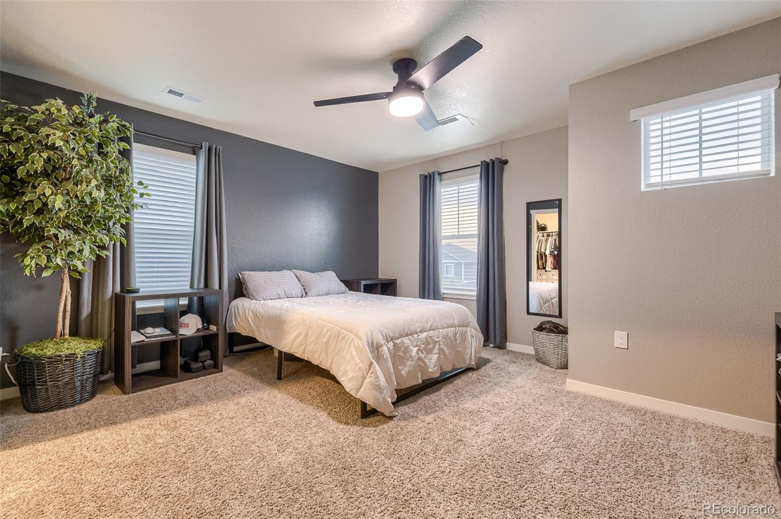 MLS Image #21 for 17414  trefoil lane,parker, Colorado