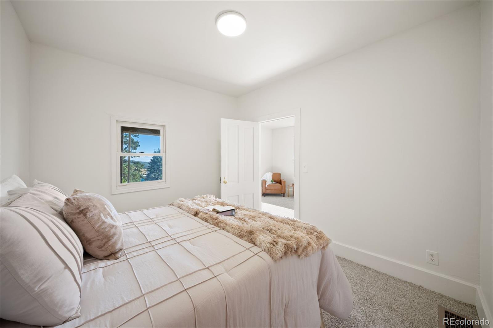 MLS Image #10 for 405 e eaton avenue,cripple creek, Colorado