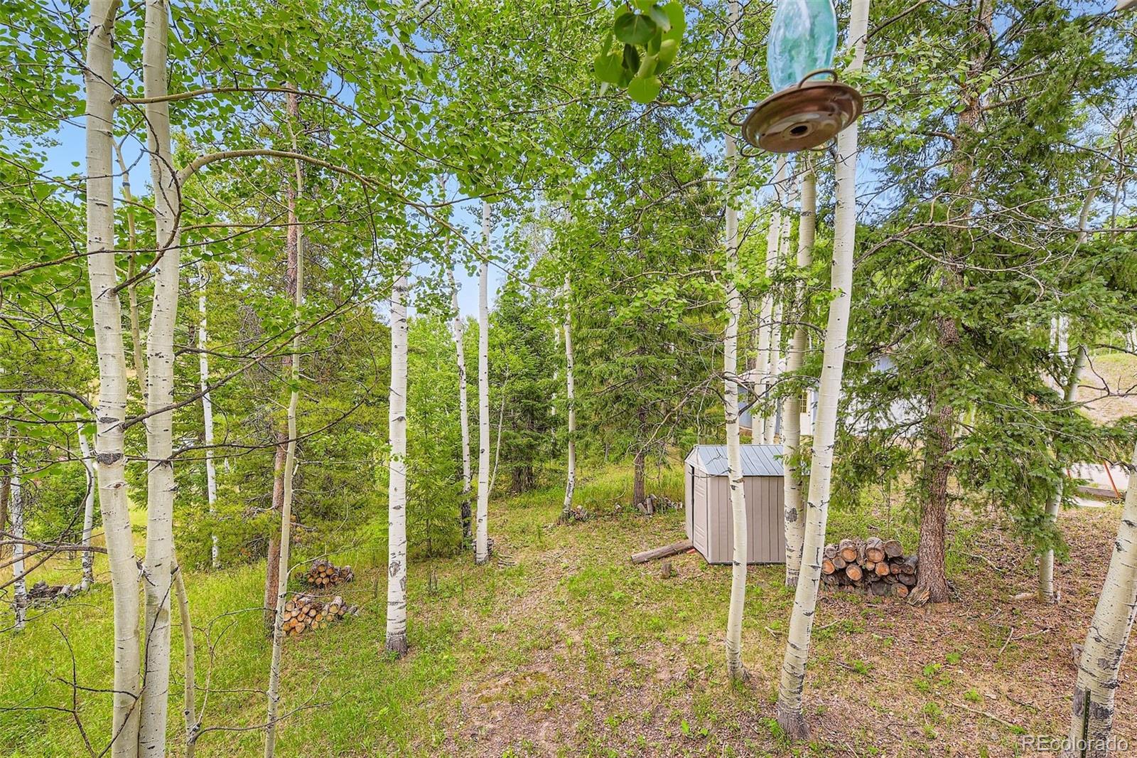 MLS Image #20 for 20341  cypress drive,morrison, Colorado