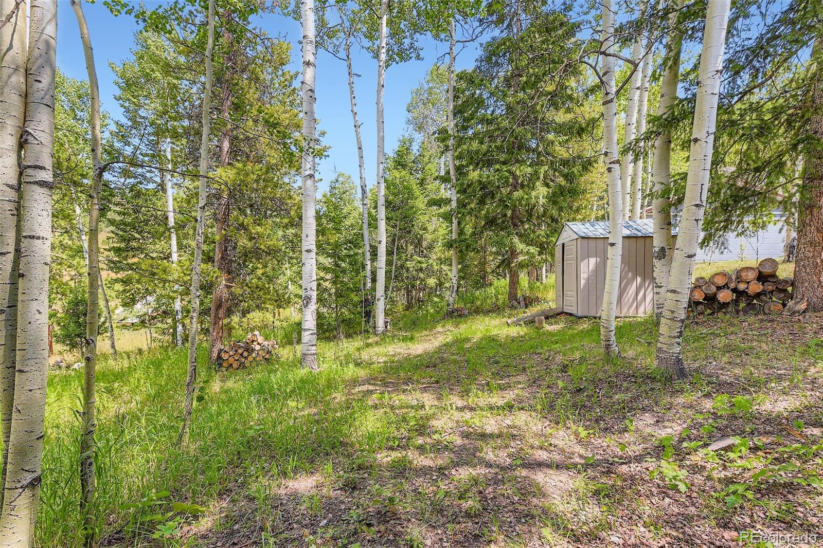 MLS Image #21 for 20341  cypress drive,morrison, Colorado