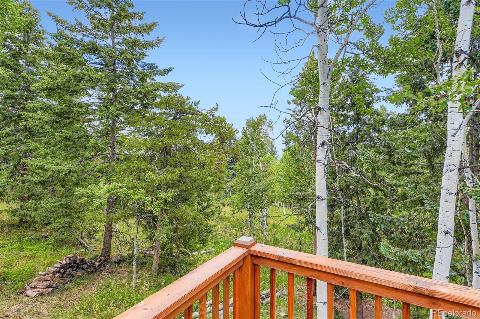 MLS Image #25 for 20341  cypress drive,morrison, Colorado