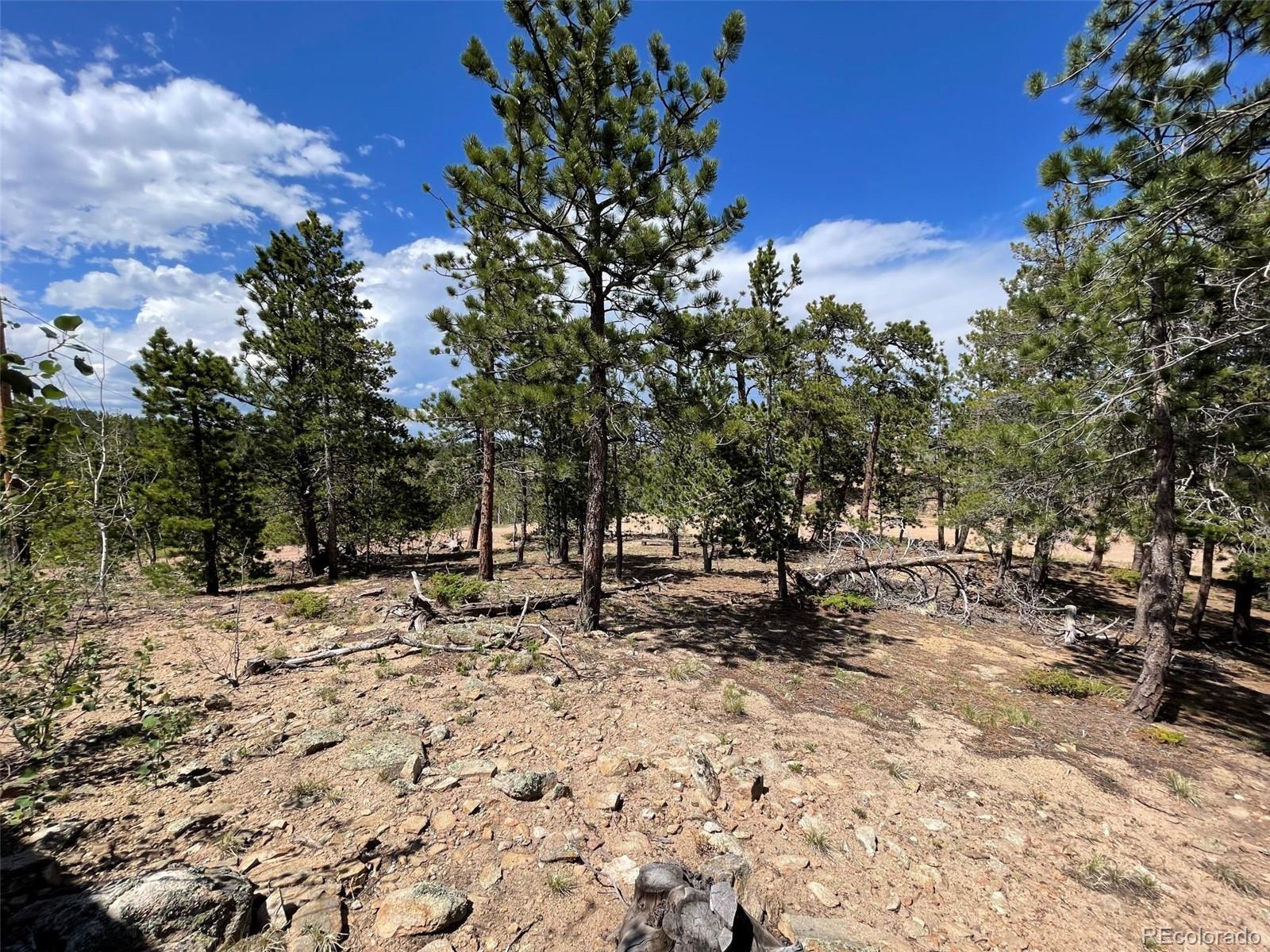 MLS Image #14 for 595  divide view drive,golden, Colorado