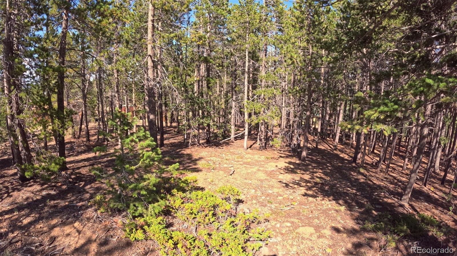 MLS Image #27 for 595  divide view drive,golden, Colorado