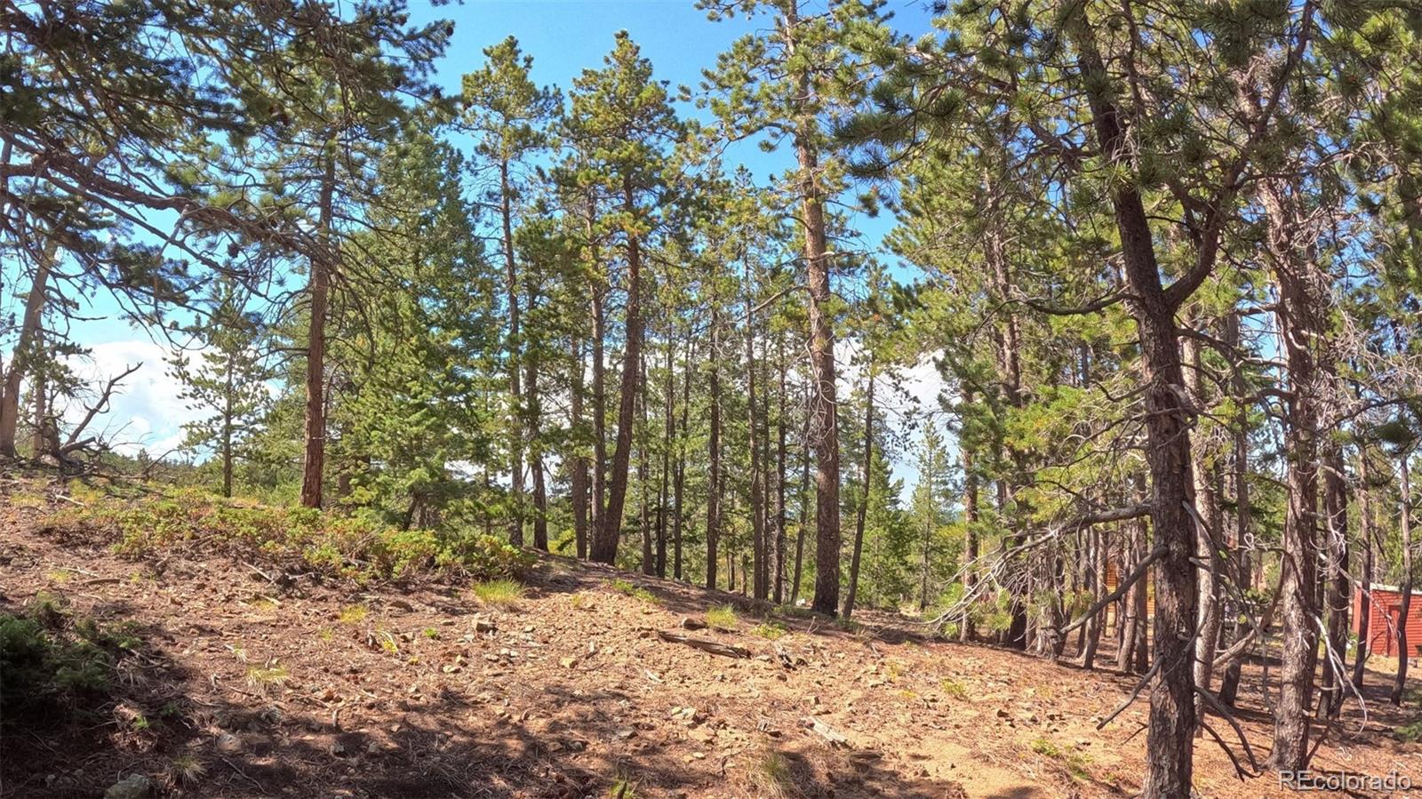 MLS Image #28 for 595  divide view drive,golden, Colorado