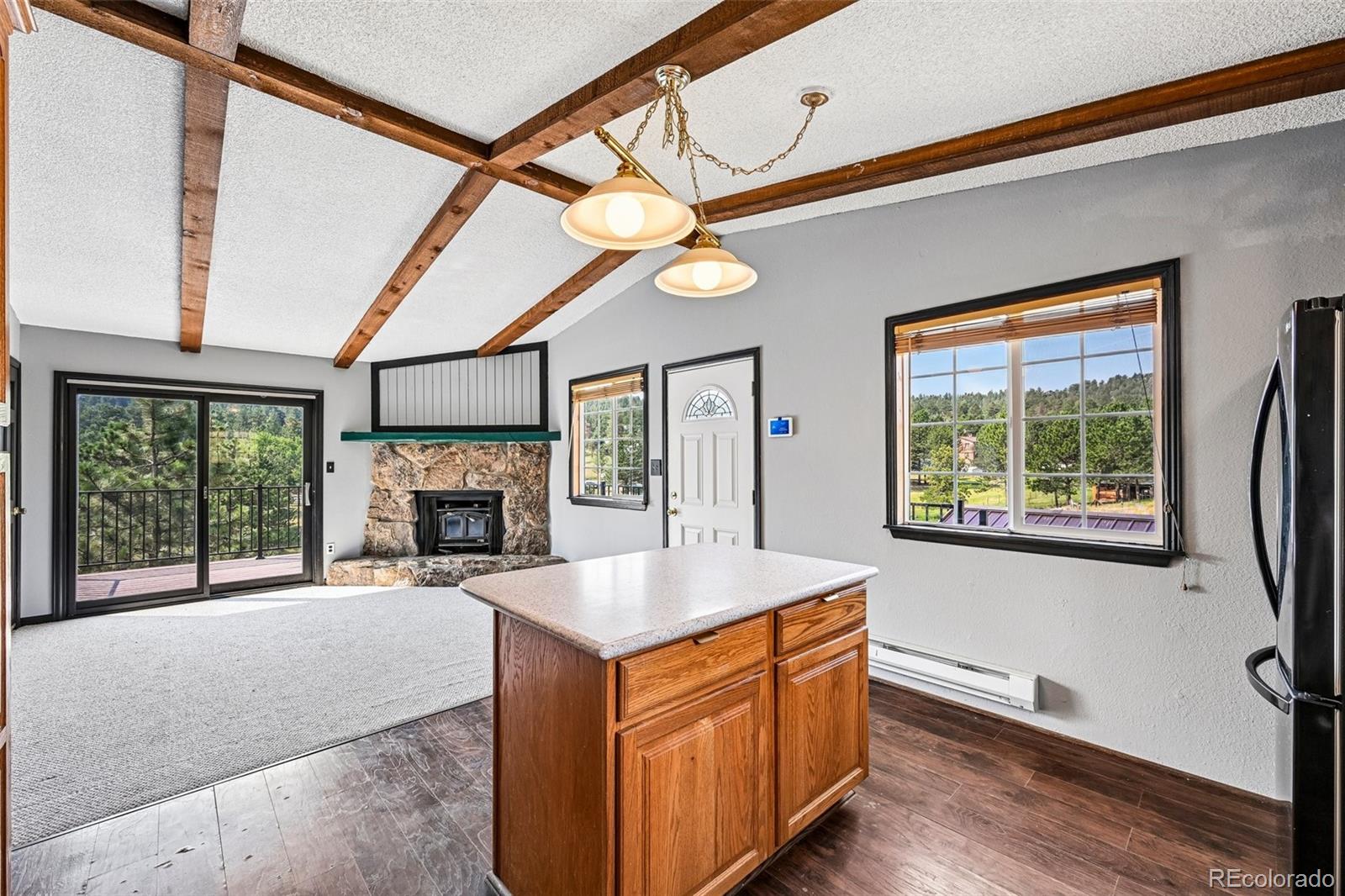 MLS Image #10 for 461  yellow pine drive,bailey, Colorado