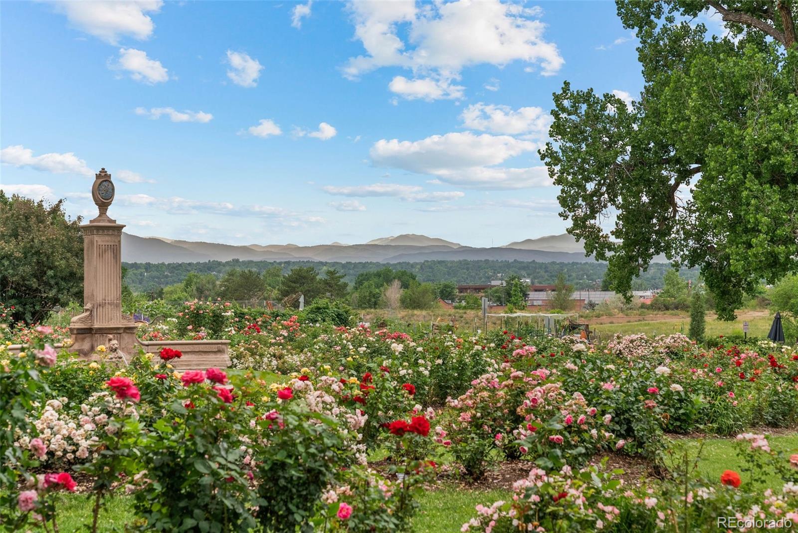 MLS Image #47 for 5870 s bemis street,littleton, Colorado