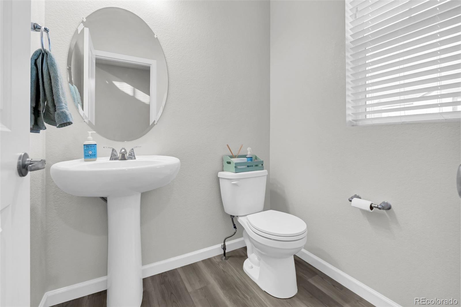 MLS Image #17 for 1172  basalt ridge loop,castle rock, Colorado