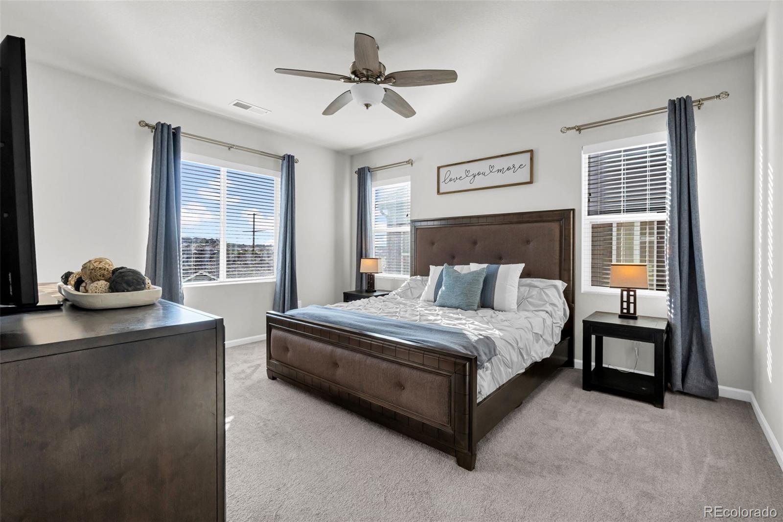 MLS Image #21 for 1172  basalt ridge loop,castle rock, Colorado