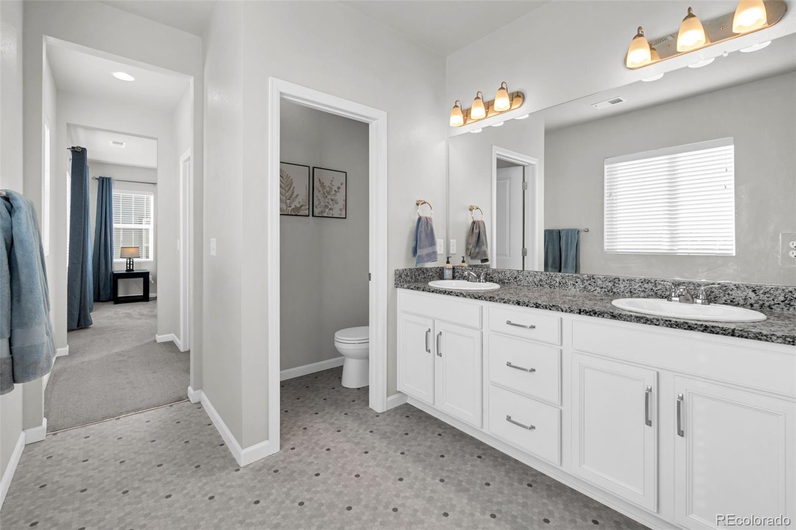 MLS Image #25 for 1172  basalt ridge loop,castle rock, Colorado