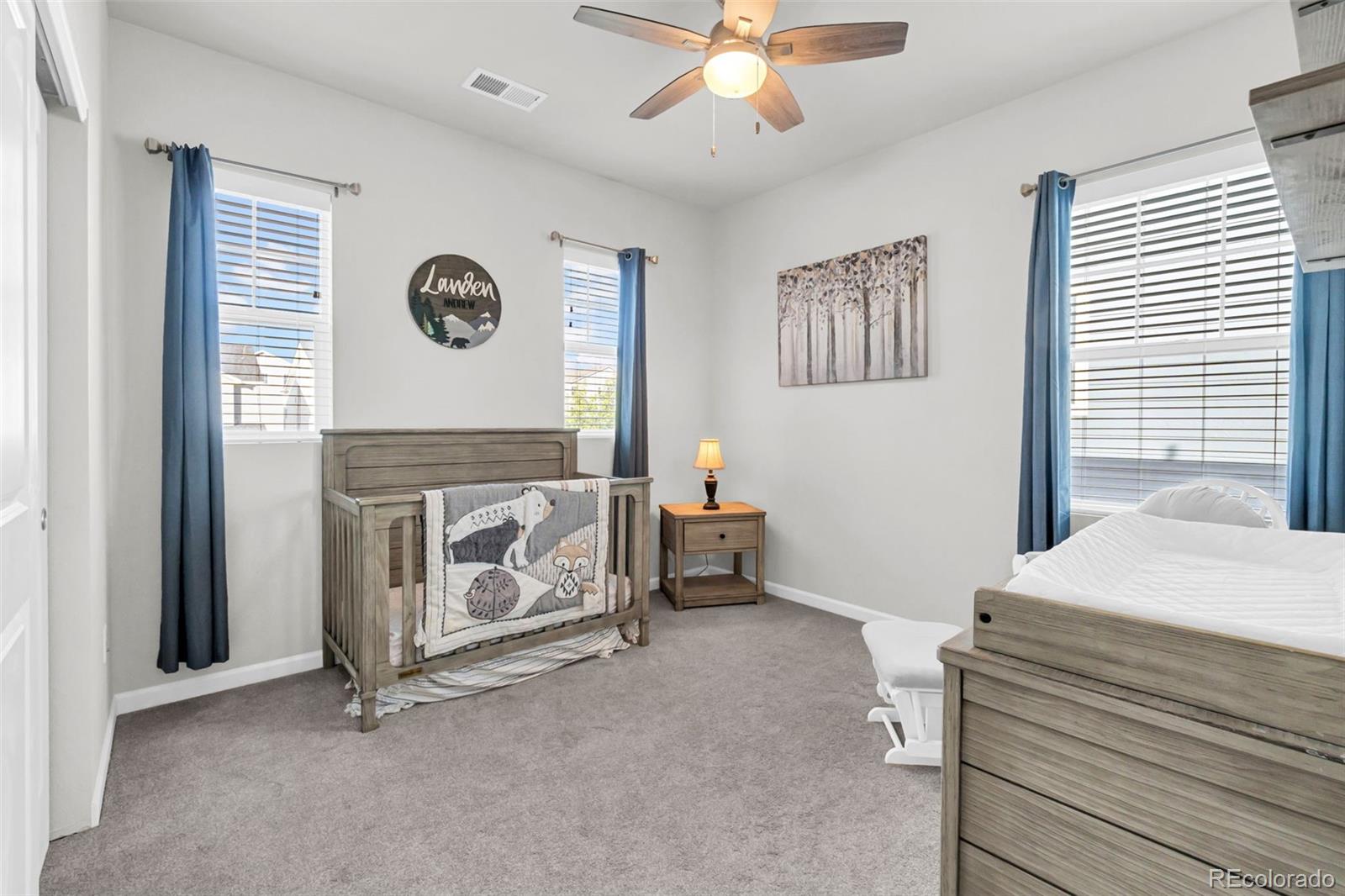 MLS Image #26 for 1172  basalt ridge loop,castle rock, Colorado