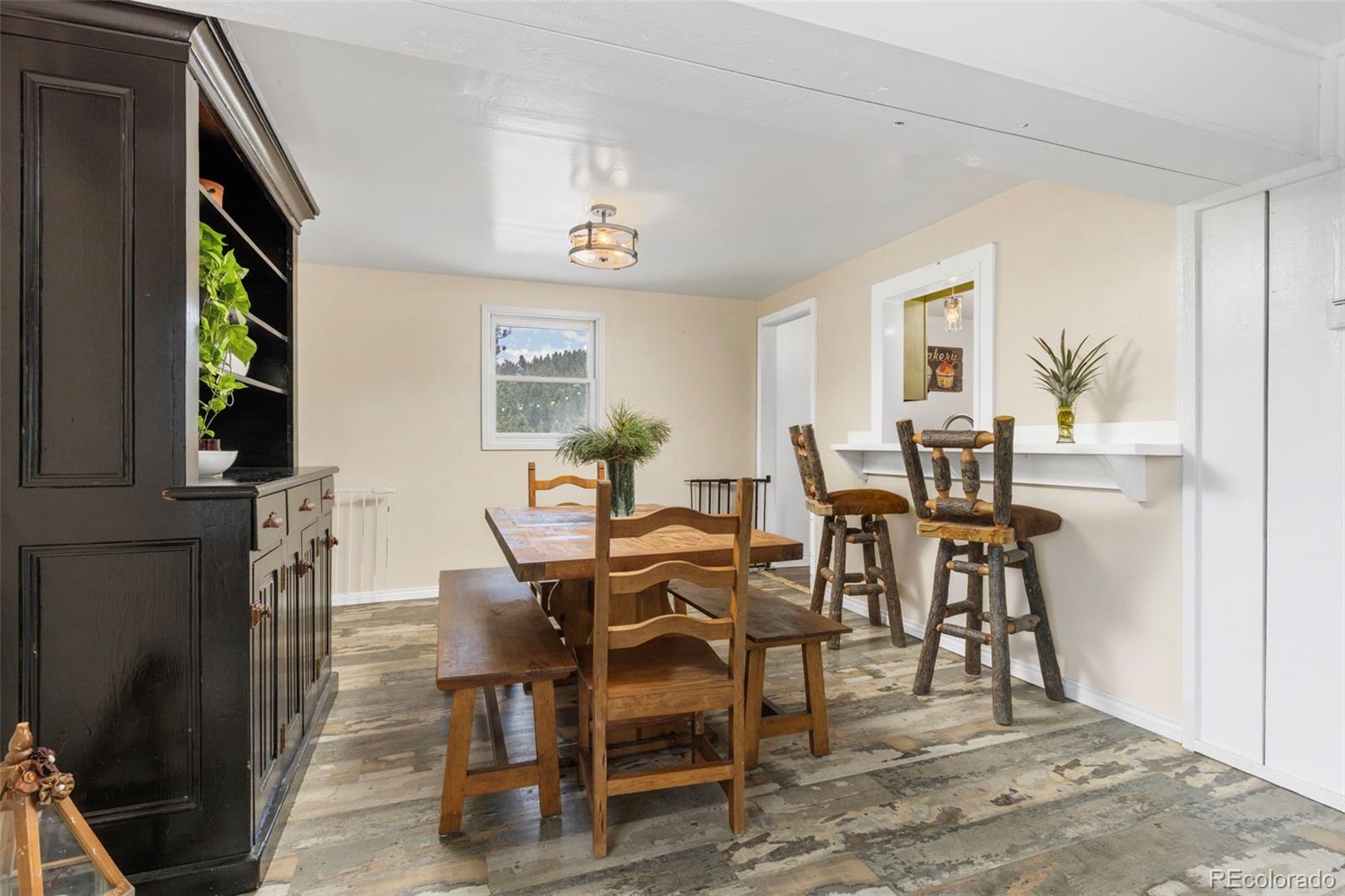 MLS Image #9 for 33758  harmon road,pine, Colorado
