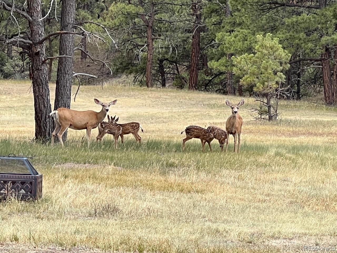 MLS Image #47 for 24124  agate trail,deer trail, Colorado
