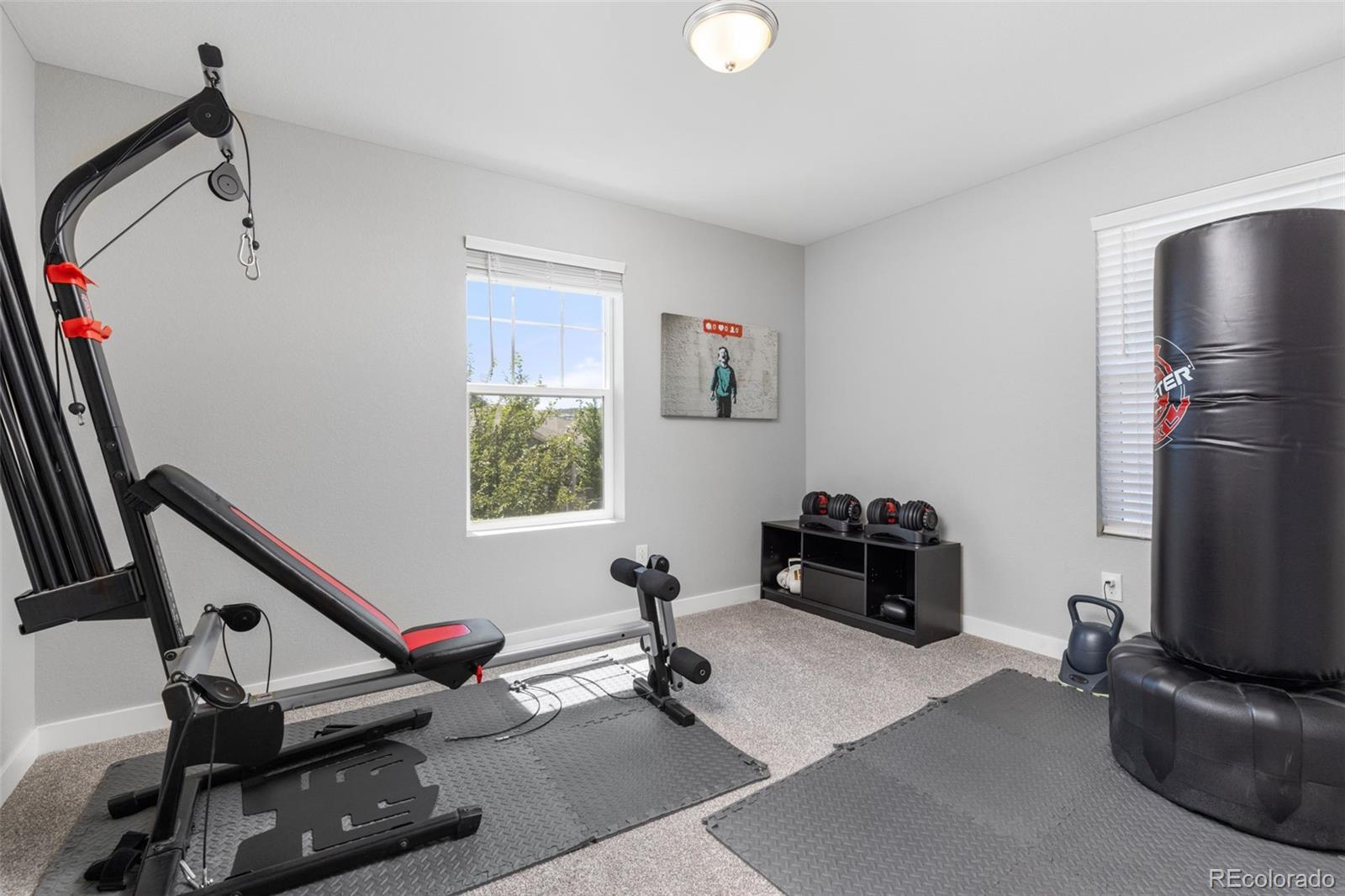 MLS Image #20 for 4232  forever circle,castle rock, Colorado
