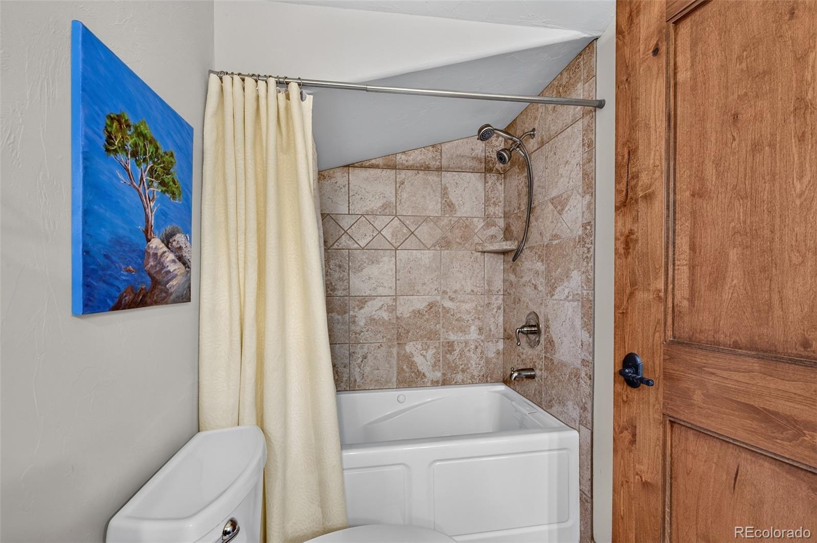 MLS Image #26 for 363  lodge pole circle,silverthorne, Colorado