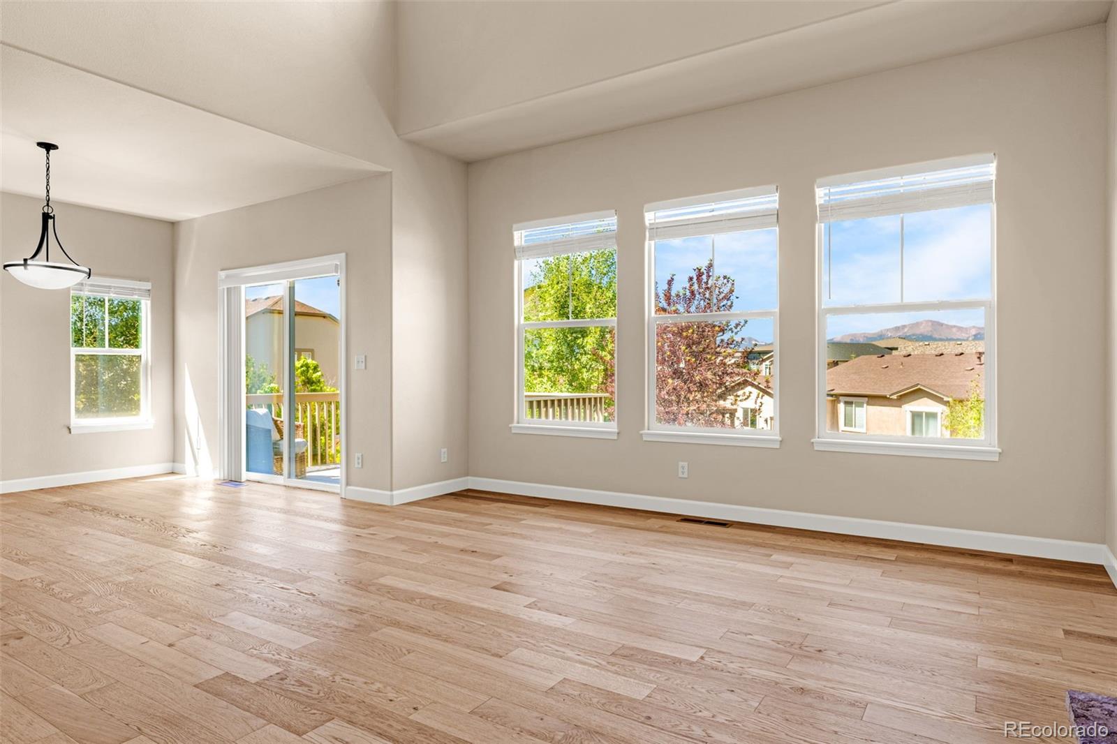 MLS Image #7 for 9960  san luis park court,colorado springs, Colorado