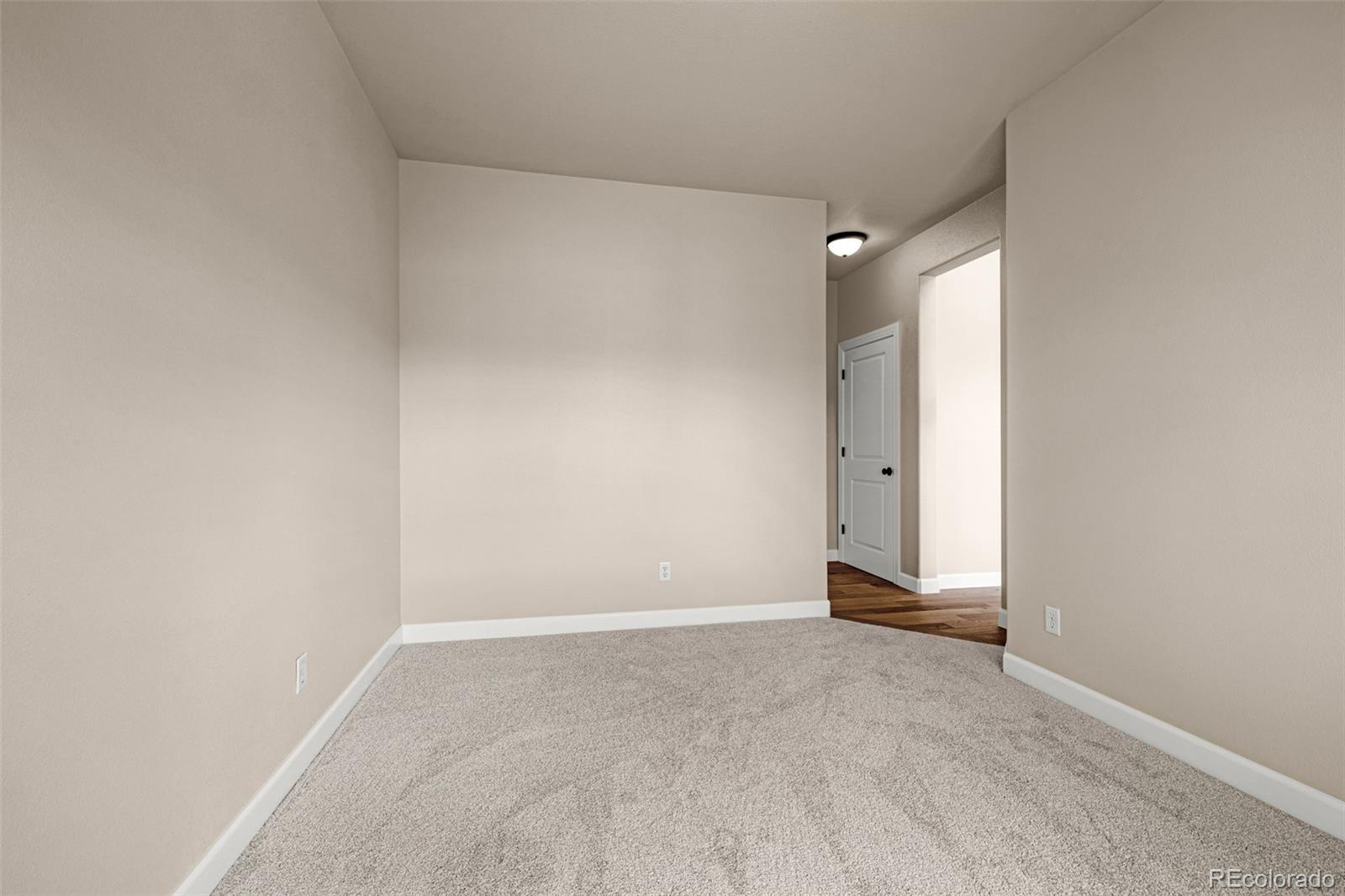 MLS Image #8 for 9960  san luis park court,colorado springs, Colorado