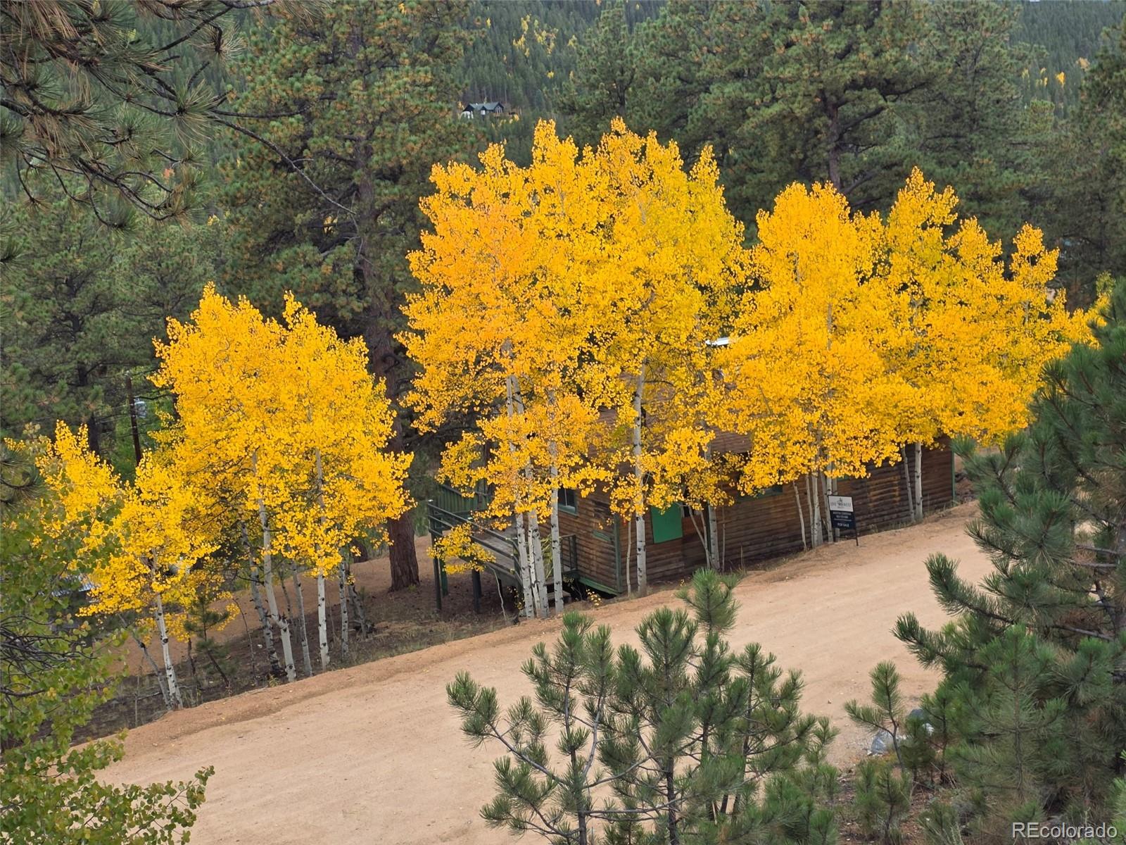 MLS Image #23 for 132  jones road,bailey, Colorado