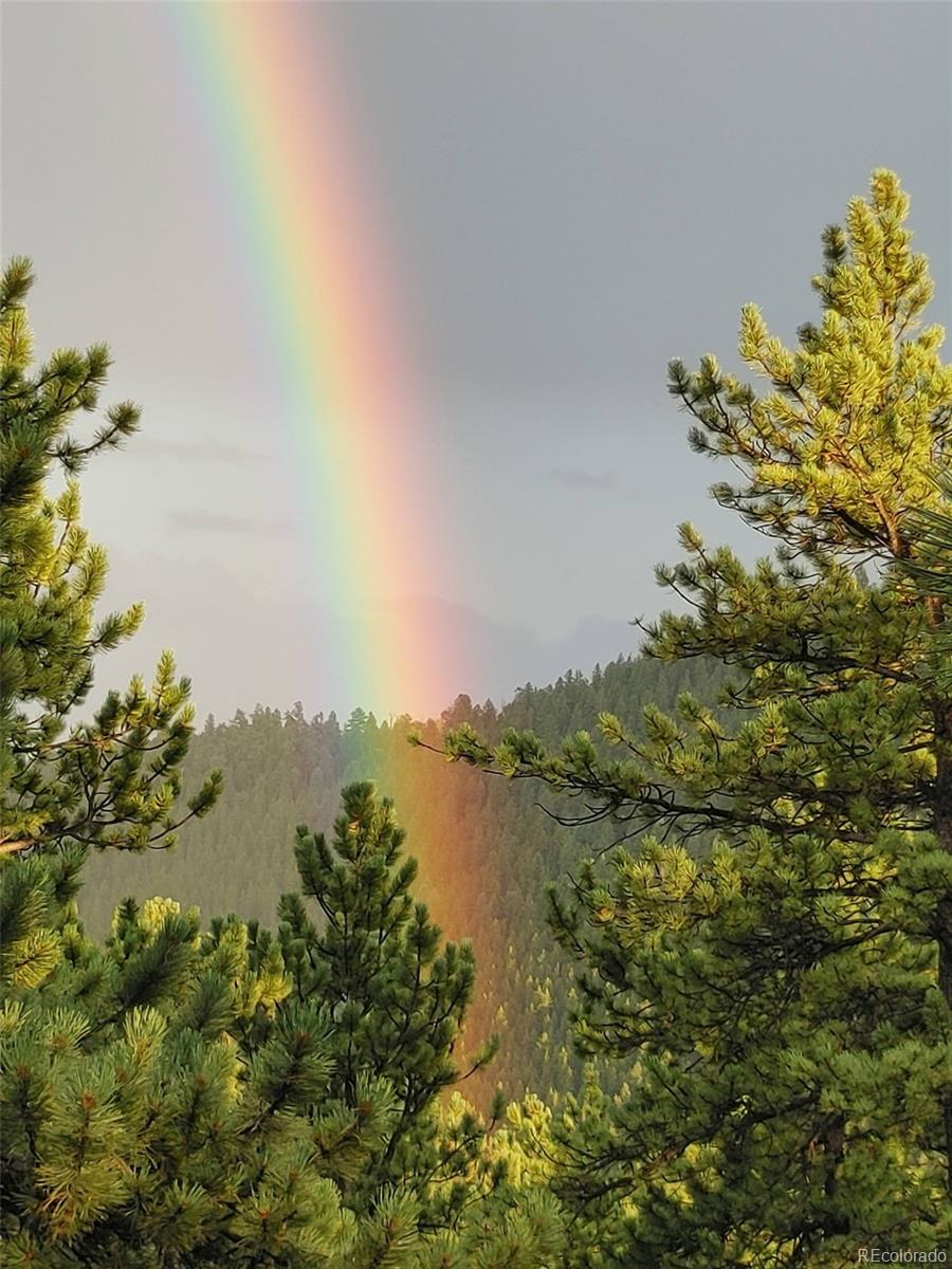 MLS Image #26 for 132  jones road,bailey, Colorado