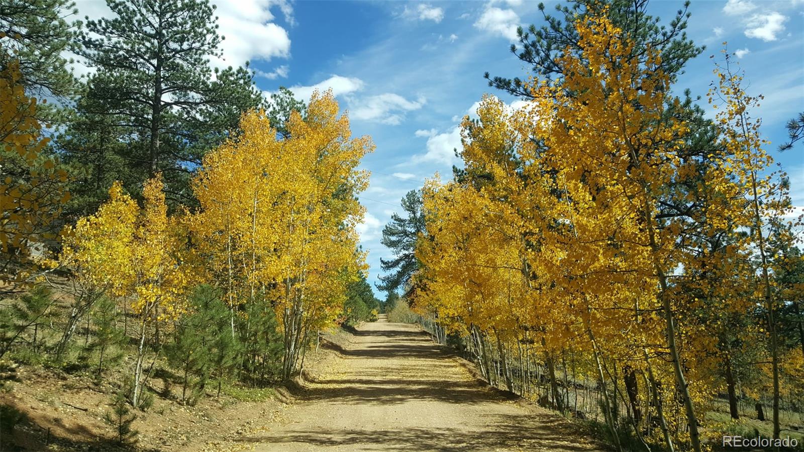 MLS Image #31 for 132  jones road,bailey, Colorado