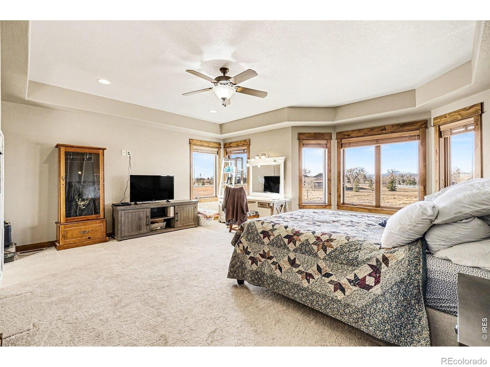 MLS Image #10 for 39111  hilltop circle,severance, Colorado