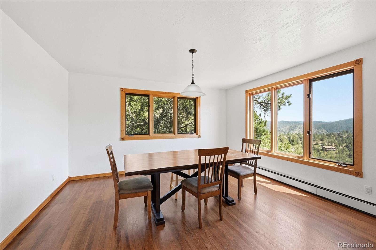 MLS Image #10 for 2415  douglas mountain drive,golden, Colorado