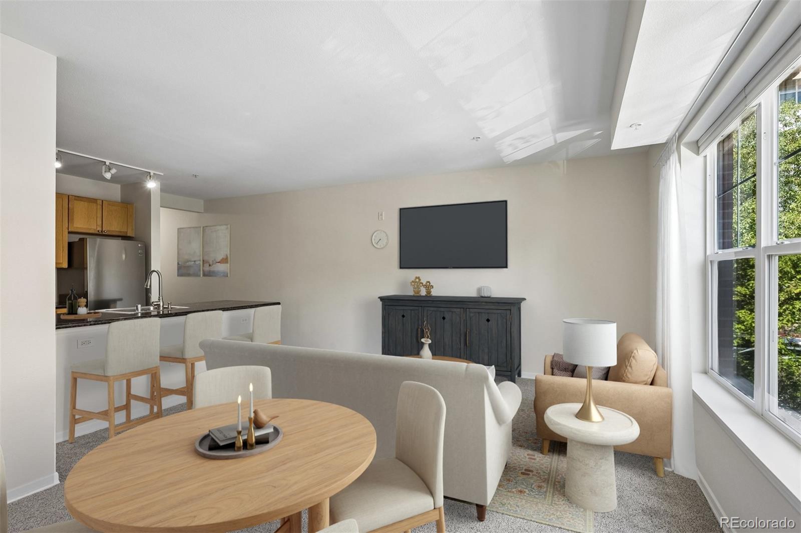 MLS Image #10 for 1623  saint paul street,denver, Colorado