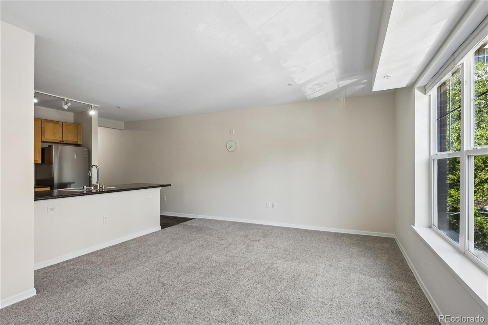MLS Image #11 for 1623  saint paul street,denver, Colorado
