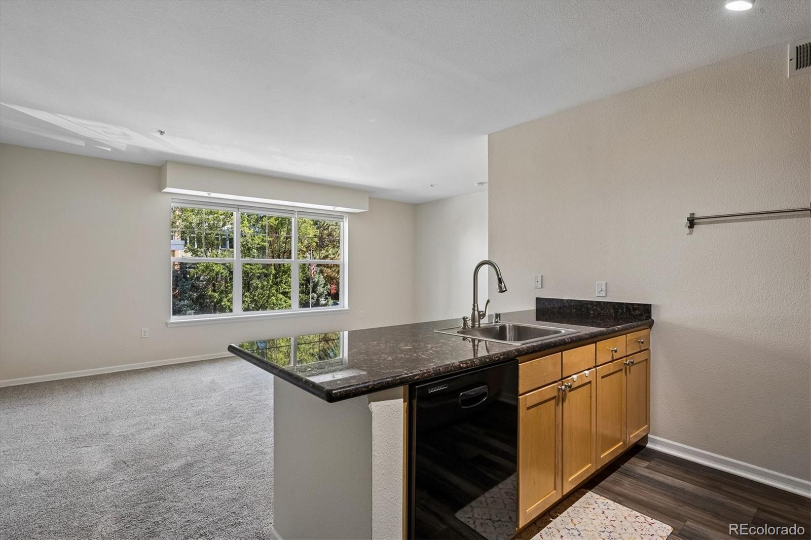 MLS Image #2 for 1623  saint paul street,denver, Colorado