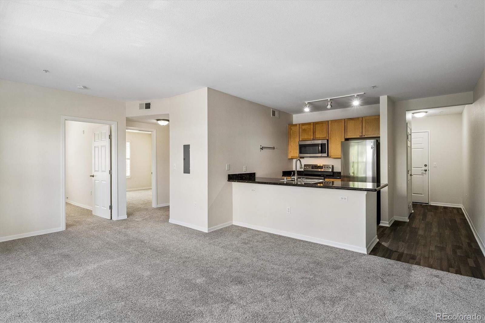 MLS Image #4 for 1623  saint paul street,denver, Colorado