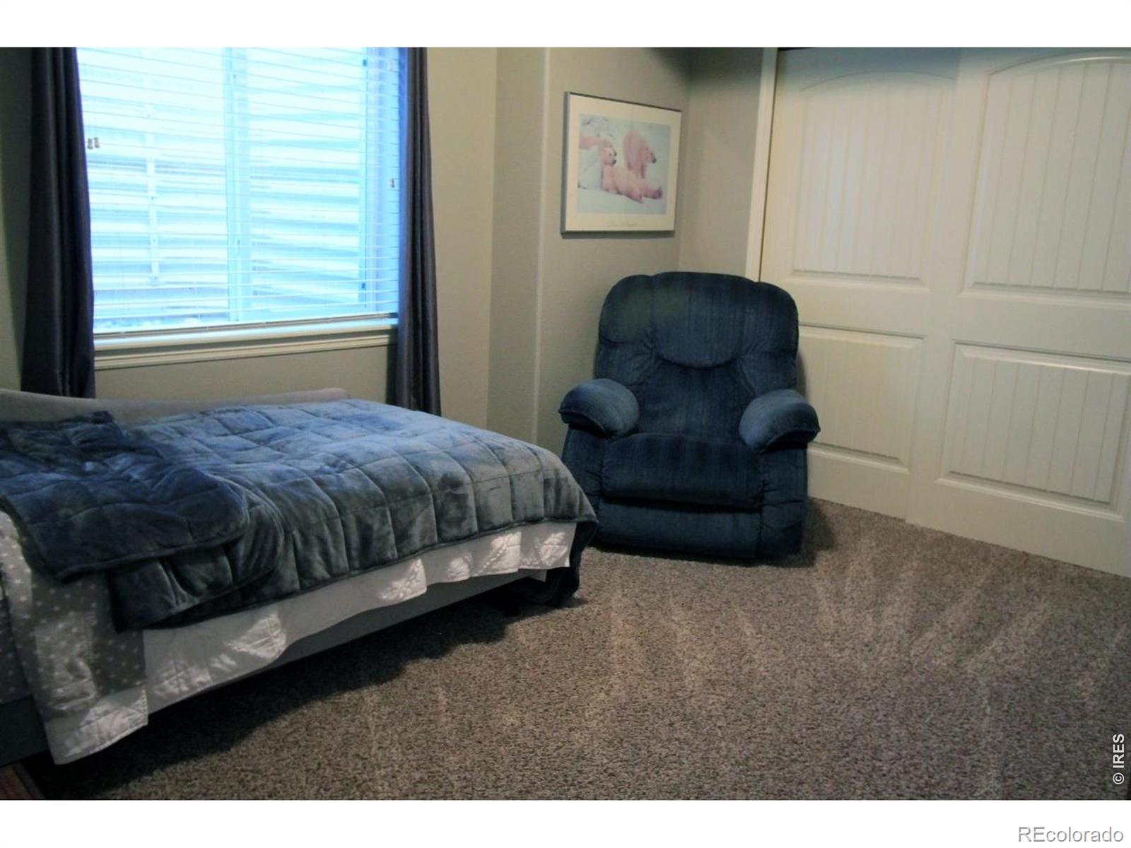 MLS Image #32 for 7404  ladbroke drive,windsor, Colorado