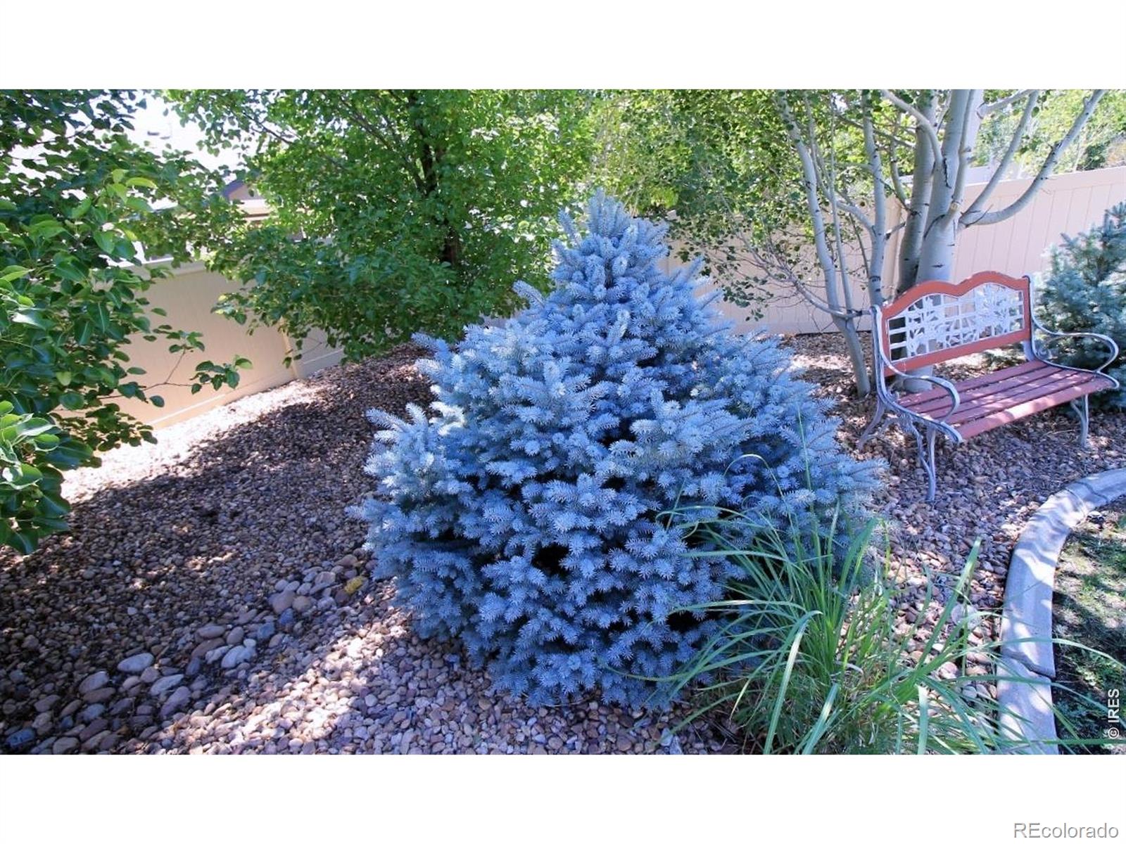 MLS Image #40 for 7404  ladbroke drive,windsor, Colorado