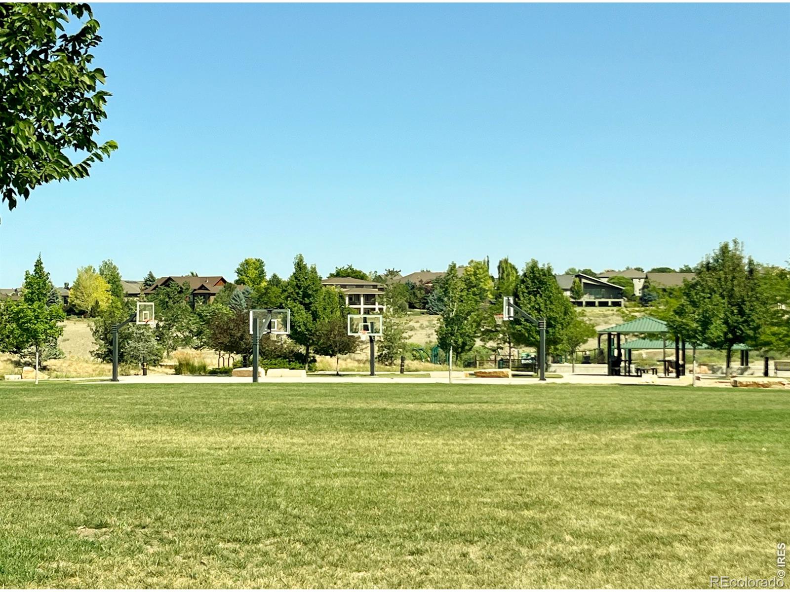 MLS Image #49 for 7404  ladbroke drive,windsor, Colorado